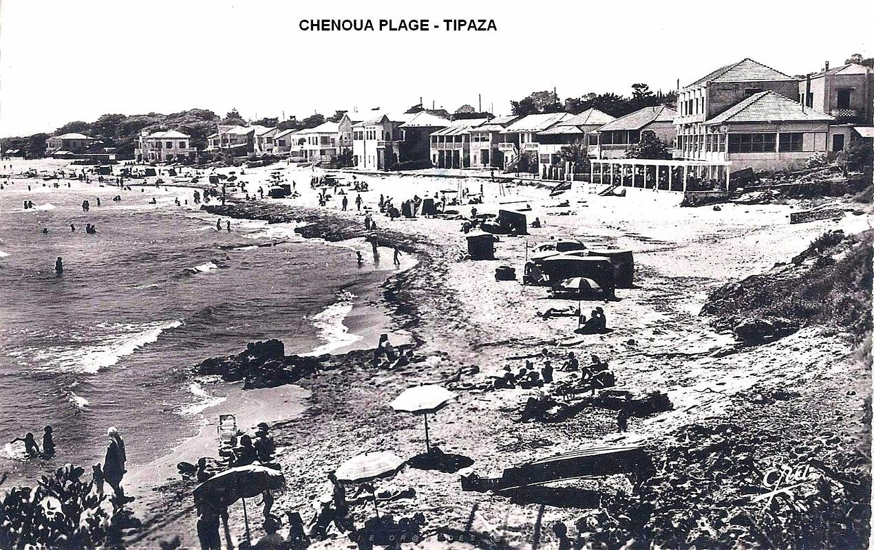 Chenoua Plage Tipaza.jpg